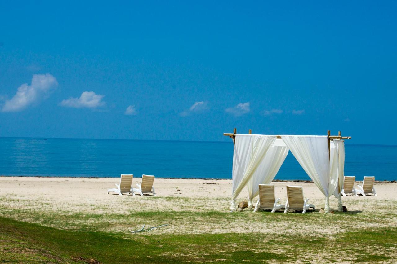 Resort Palm & 4*